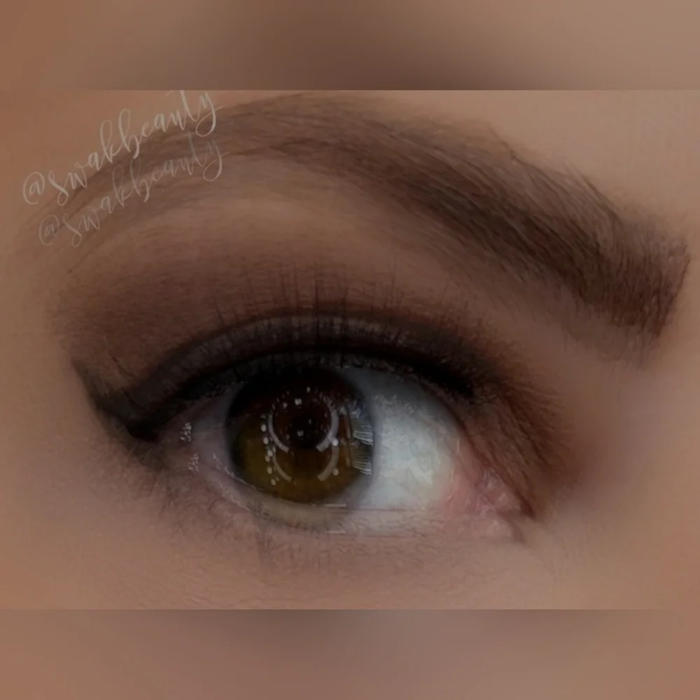 Hot Chocolate ShadowSense Eyeshadow
